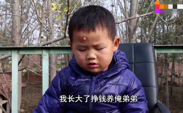 农村爸爸担心生二胎压力大，4岁儿子一旁耿直回答，太暖心了