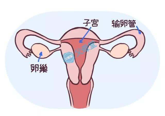 生完孩子就不痛了，“大姨妈”这么听话吗？