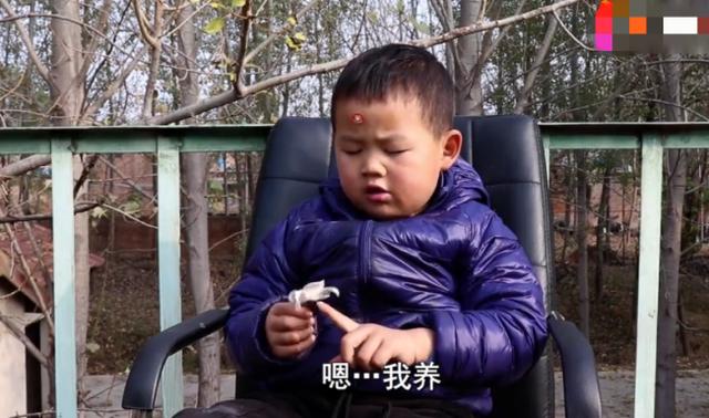 农村爸爸担心生二胎压力大，4岁儿子一旁耿直回答，太暖心了
