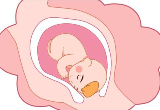 胎宝宝在妈妈的肚子里有记忆吗？真相挺让人感动的！