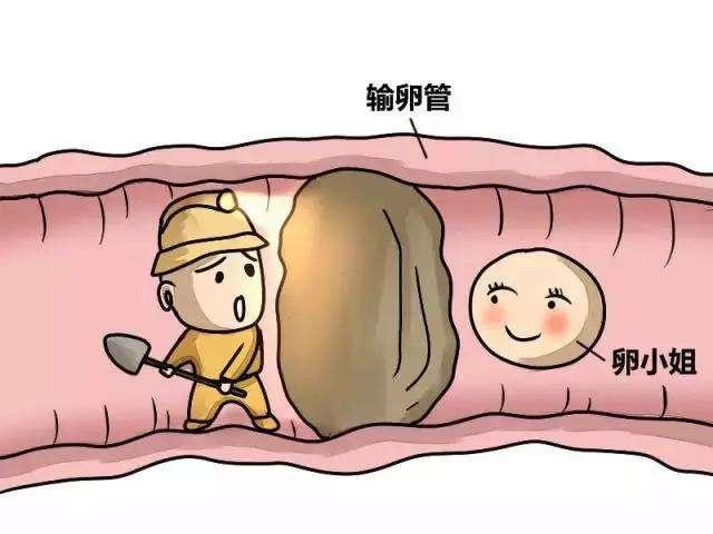 为什么现在的女人容易宫外孕?大多跟男人有关,看完替女人不值