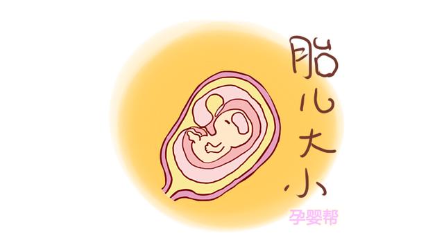 产检单上这3个指标，反映了你顺产时间长短，顺产妈妈值得一看