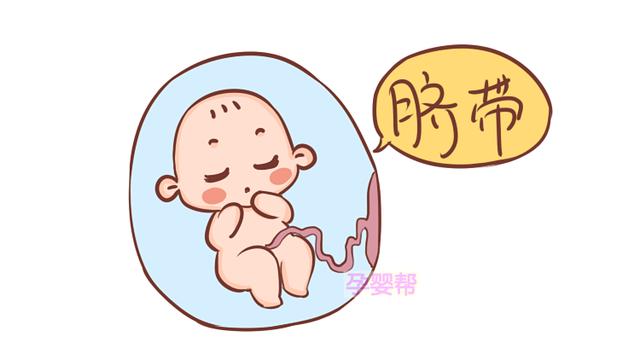 这2种情况易影响胎儿检查结果，妈妈不了解，就不要盲目责怪医生