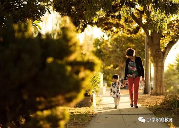 羡慕别人家的孩子优秀？人家父母有多努力，你知道吗