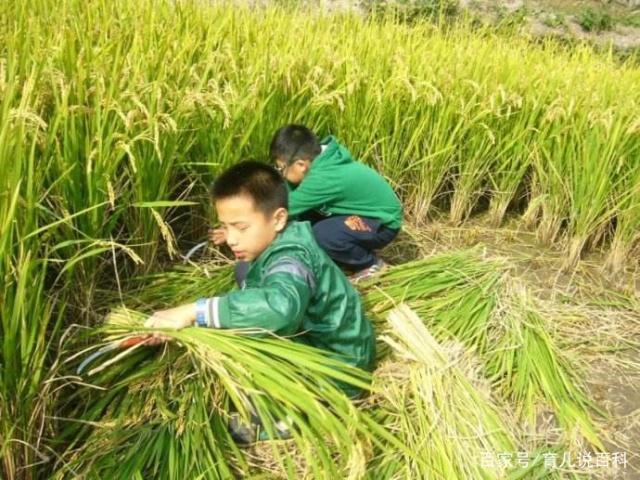 长大后有出息的孩子，大多有这两个特征，跟富养穷养没关系