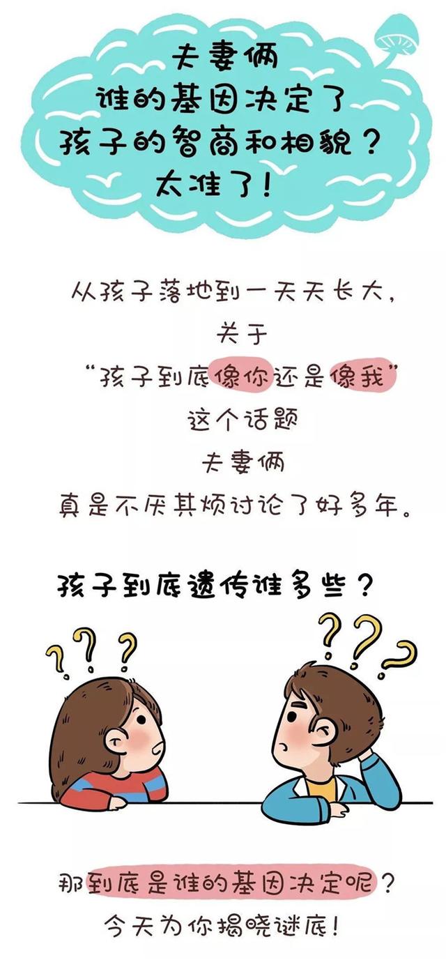 夫妻谁的基因决定了孩子的智商和相貌？太准了