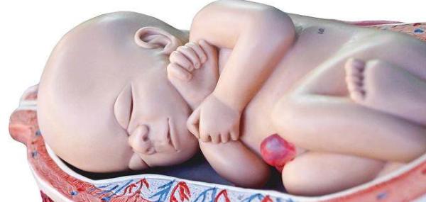 胎儿打嗝的时候，孕妈可能有一种感觉，还挺神奇