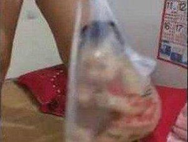 小宝宝被放塑料袋拎着，网友感到气愤，原因却让人意外