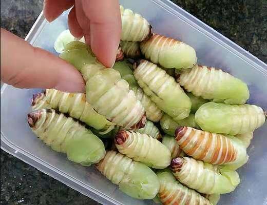 家里再穷，春天“咬牙”都要给孩子吃这8种食物，补钙长个又下饭