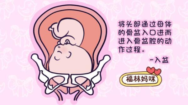 孕36周，孕妈遵守“两做一不做”，能帮助胎儿顺利入盆