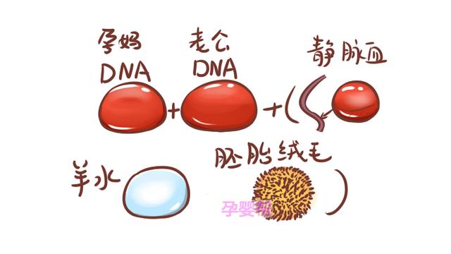 孕期婆婆逼着儿媳做亲子鉴定，等到宝宝出生后，全家都乱了