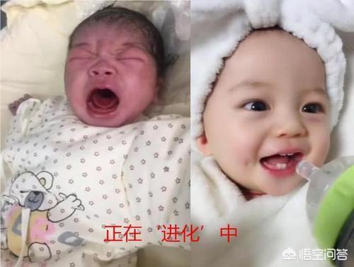 刚生下来的宝宝能有多丑？