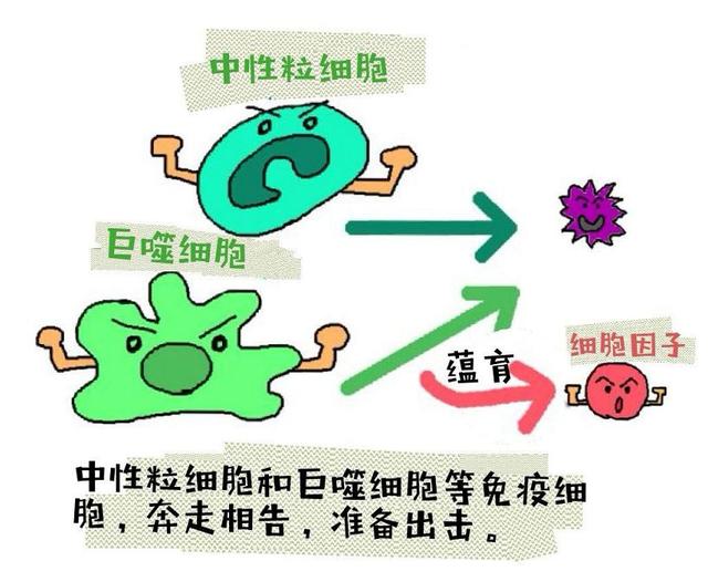 孩子感冒医生总说要多喝热水，是敷衍还是真有效？