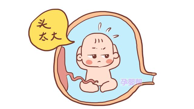 胎儿那么大，如何顺利通过产道？真相是这样，比你想得有趣多了