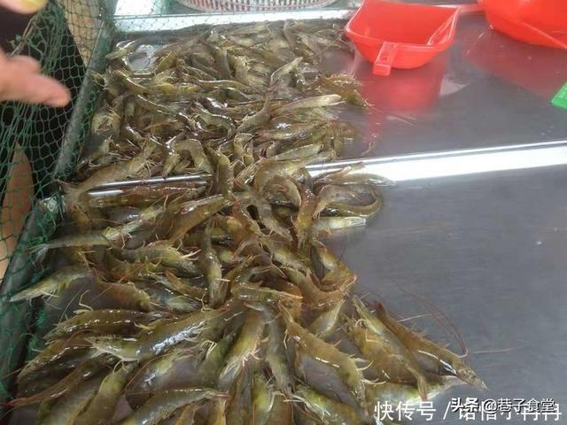 这几种食物一定要给孩子吃，营养价值超高！