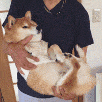 宝宝睡着后一放下就醒？这些办法可以帮到你哦