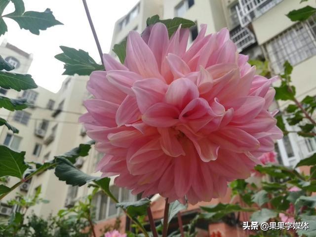 微小说：亲情无价