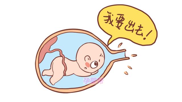 胎儿那么大，如何顺利通过产道？真相是这样，比你想得有趣多了