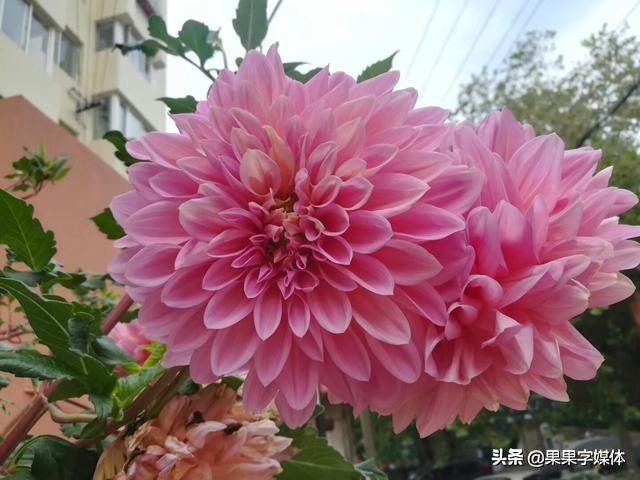微小说：亲情无价