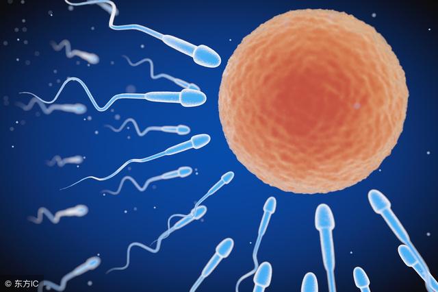 生育二胎前需要办理哪些手续？夫妻俩需要做哪些孕前检查呢？
