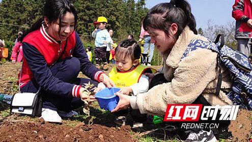 植树节：邵阳县教育工会亲子播绿传家教