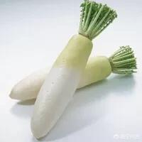 孕妇能吃萝卜么？