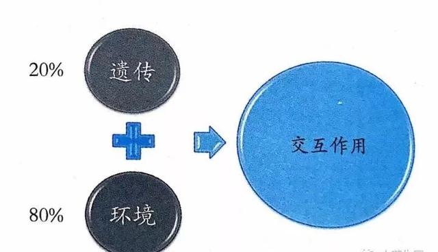 摧毁儿童视力的，不是电子产品，这三个因素很多家长都忽视了