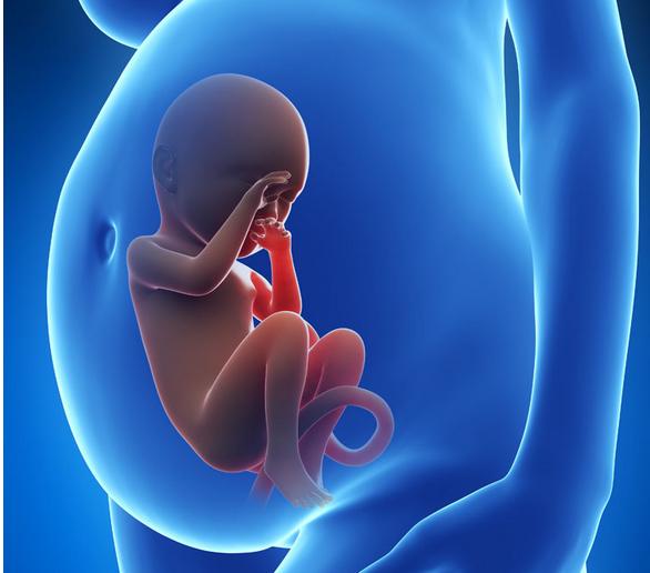 请别在胎宝宝有心跳后打掉他，连医生看了都会心疼落泪！