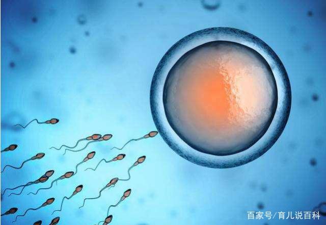 在没有安全套的情况下，夫妻该如何避孕？这三种方法很实用