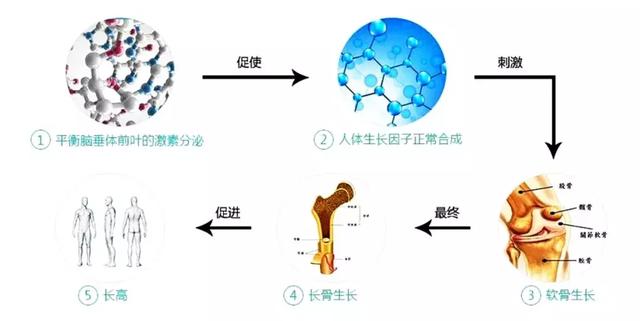 生长激素想用就用？徐璇医生教你全面认识生长激素！