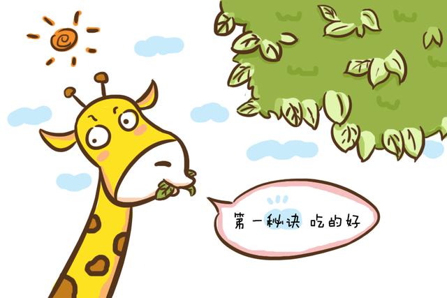 爸妈长得都高，孩子肯定不会矮？要知道如果方法不对，照样白搭！