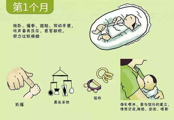 宝宝几个月会翻身、爬行？0-3岁宝宝的发育图谱，快来对照看看吧