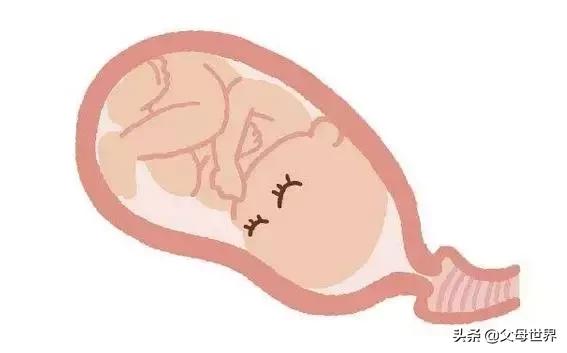 分娩痛得死去活来时宝宝在干嘛？暖哭！你真的不是一个人在战斗！