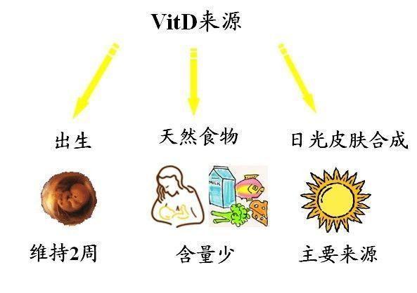 宝宝缺乏维生素D的原因？持续低水平维生素D有哪些健康危害？