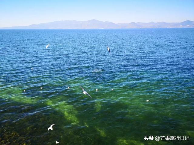 广州到云南,2200元六天自由行抚仙湖详细攻略,包含交通吃饭住宿