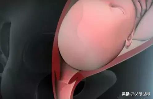分娩痛得死去活来时宝宝在干嘛？暖哭！你真的不是一个人在战斗！