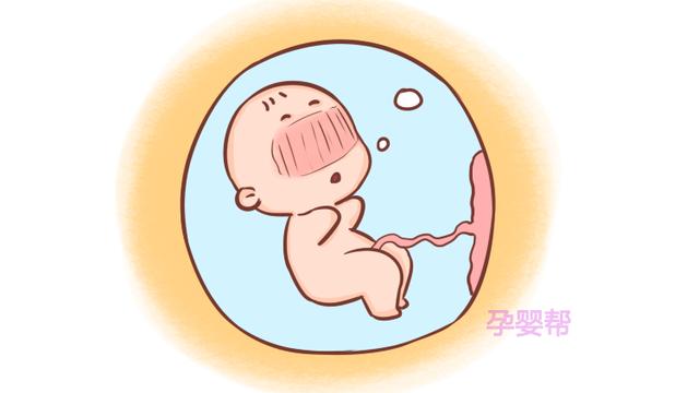 胎儿的排泄物去哪儿了？妇产科医生给出答案，太有意思了