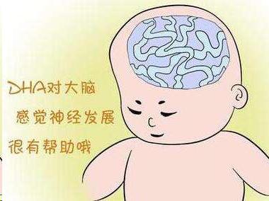 儿科主任：补充DHA有诀窍，想要宝宝更聪明，这四类食物不可少