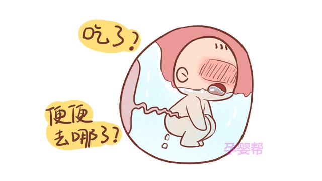 胎儿的排泄物去哪儿了？妇产科医生给出答案，太有意思了