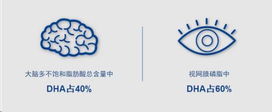 儿科主任：补充DHA有诀窍，想要宝宝更聪明，这四类食物不可少