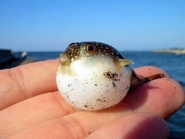 比青岛人少,比三亚消费低!南方这座隐世小岛藏着绝美海滩和海鲜