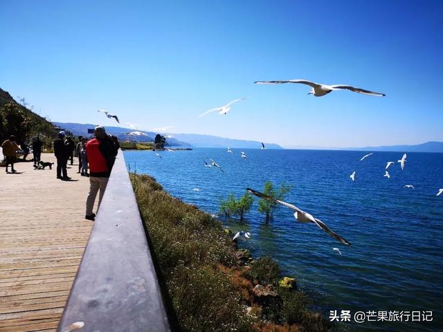 广州到云南,2200元六天自由行抚仙湖详细攻略,包含交通吃饭住宿