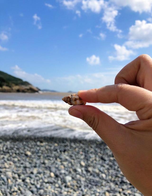 比青岛人少,比三亚消费低!南方这座隐世小岛藏着绝美海滩和海鲜
