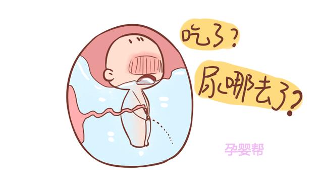 胎儿的排泄物去哪儿了？妇产科医生给出答案，太有意思了