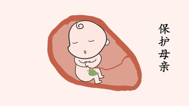 胎儿为了妈妈健康，默默做过哪些努力？母子连心，一点没说错！