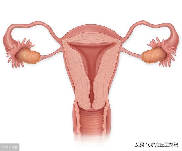 女人私房话：5个时期不适合怀孕，女人们要三思！