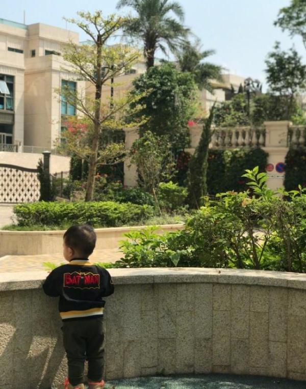胡杏儿挺六个月孕肚带小奕霆晒太阳，小小的背影太可爱，萌化了
