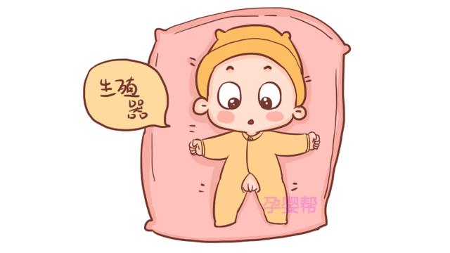 新生儿这3个部位不能摸，易引发感染，家长需格外注意
