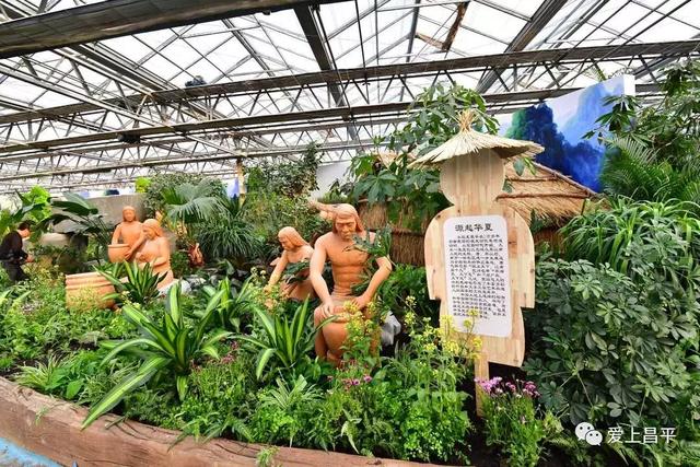 实图!第七届北京农业嘉年华明日开幕,场馆美景游玩攻略抢先看!