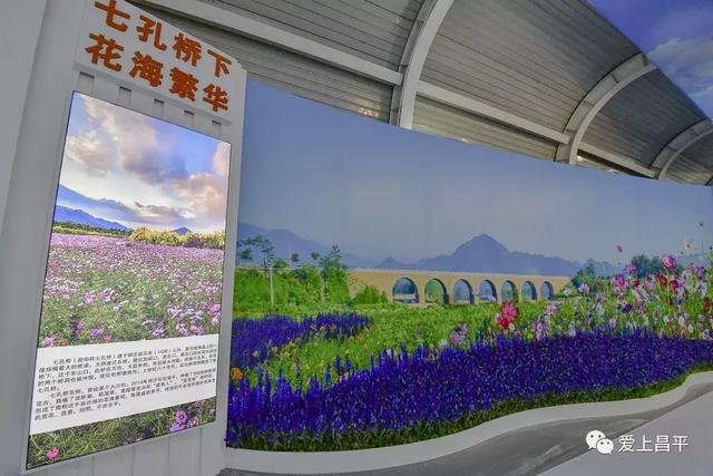 实图!第七届北京农业嘉年华明日开幕,场馆美景游玩攻略抢先看!